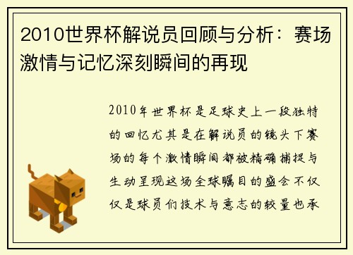 2010世界杯解说员回顾与分析:赛场激情与记忆深刻瞬间的再现